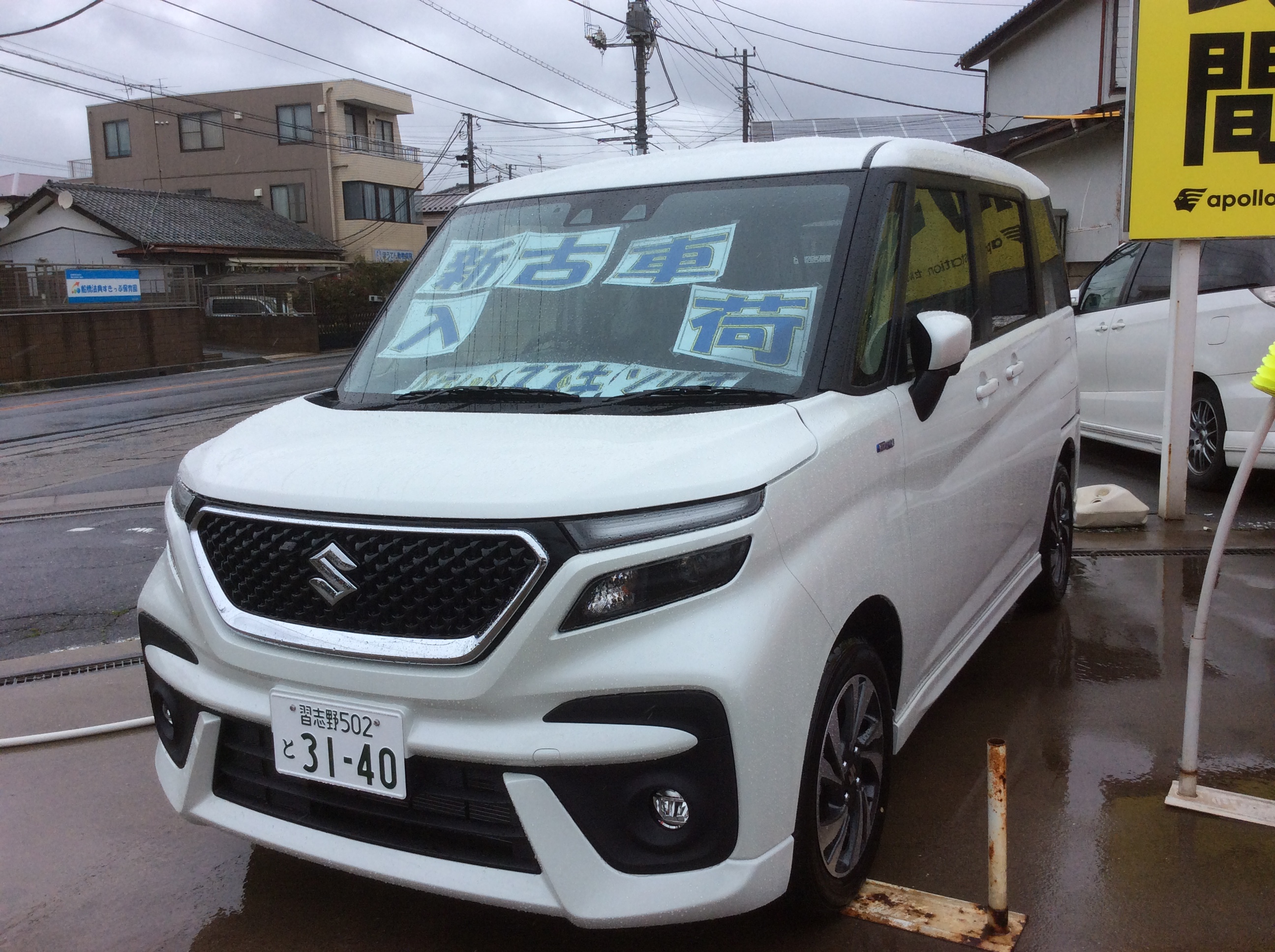 ｿﾘｵﾊﾞﾝﾃﾞｨｯﾄ